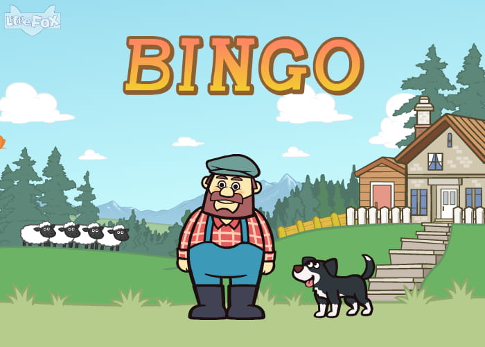 Bingo